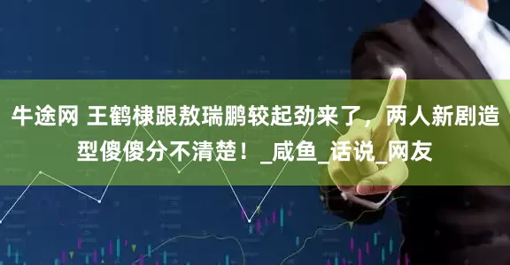 牛途网 王鹤棣跟敖瑞鹏较起劲来了，两人新剧造型傻傻分不清楚！_咸鱼_话说_网友