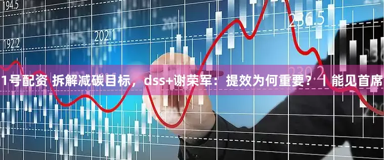 1号配资 拆解减碳目标，dss+谢荣军：提效为何重要？丨能见首席